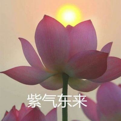 海龙王破解版下载